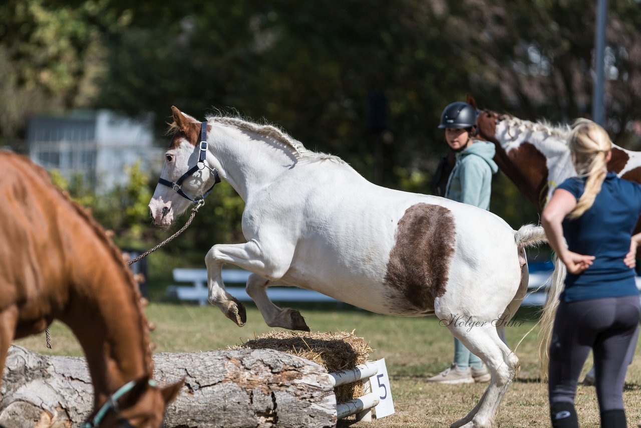 Bild 51 - Pony Akademie Turnier